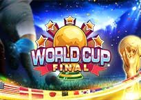World Cup Final