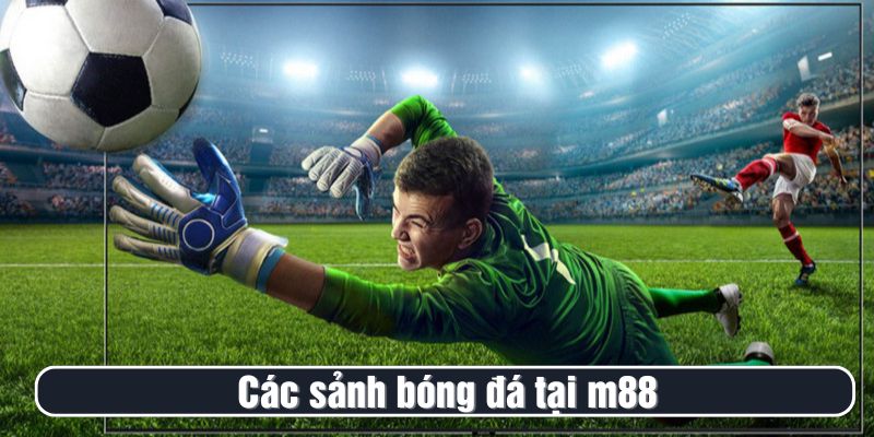 Tổng hợp các sảnh bóng đá tại M88 được ưa chuộng nhất