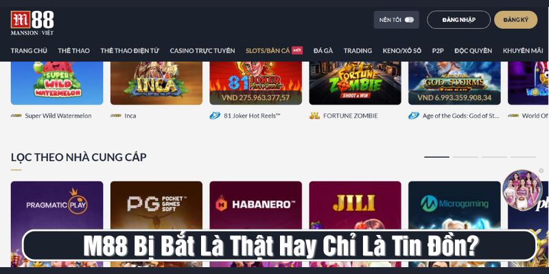 M88 bị bắt là sai sự thật